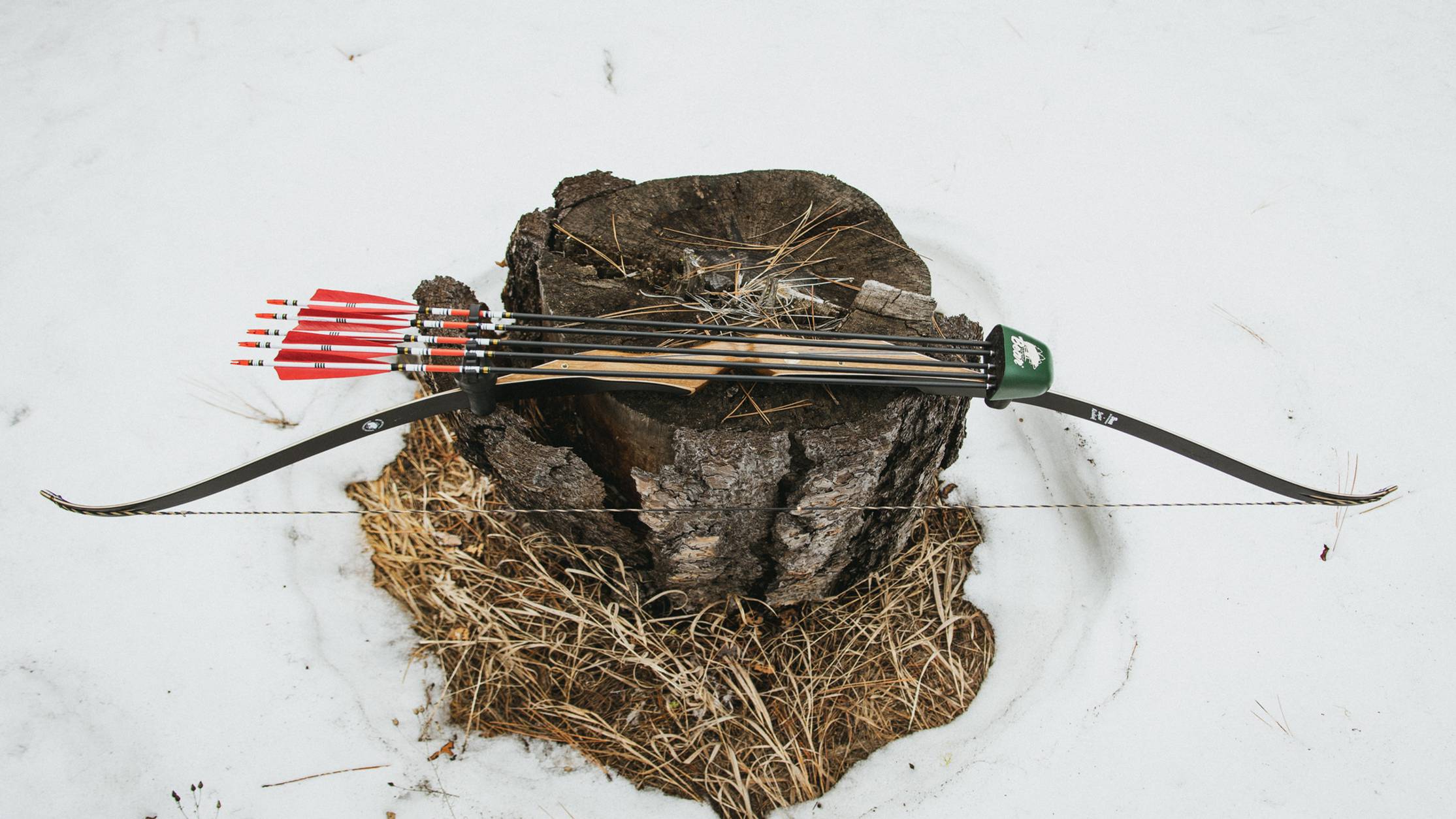 Bear Archery Super Kodiak recurve bow laying on a stump