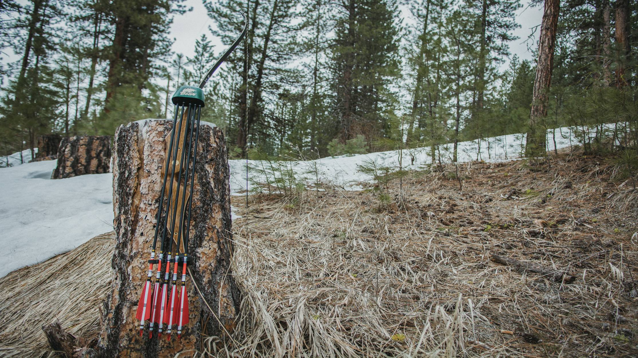 Bear Archery Super Kodiak recurve bow laying against a tree stump