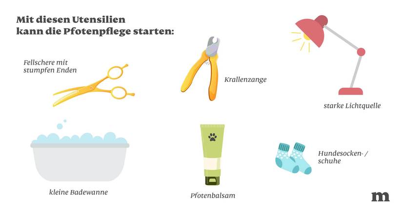 Welche Utensilien benötige ich für die Pfotenpflege?