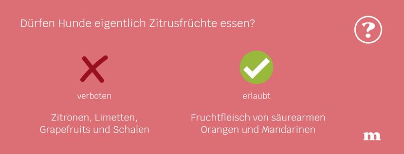 Eine Infografik über Zitrusfrüchte