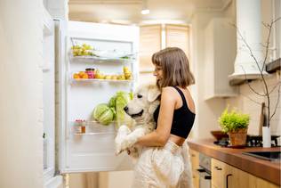 Ein Kühlschrank mit gesunden Lebensmitteln für Hunde