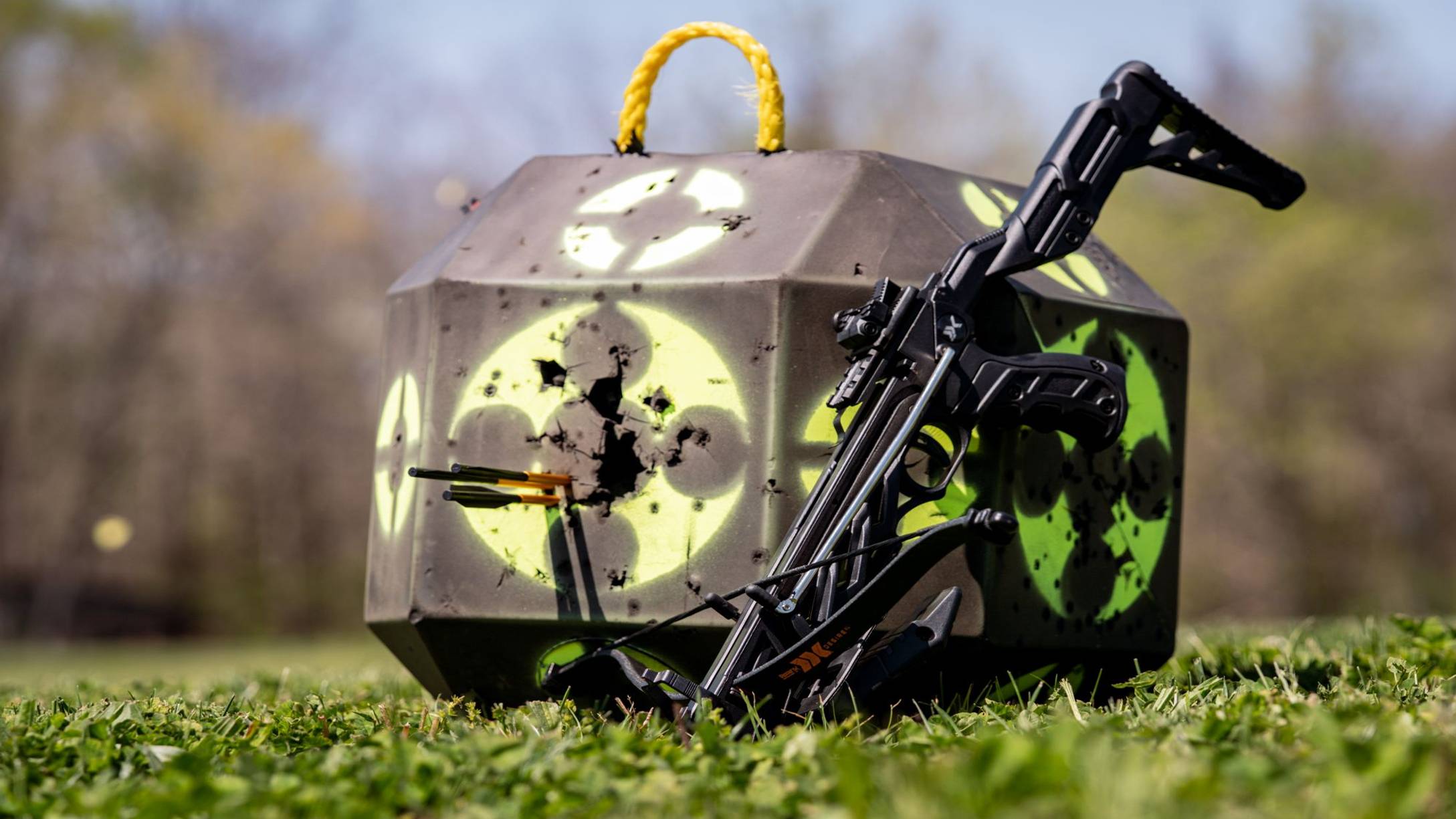 The Bear X Desire XL pistol crossbow leaning against a target in a field
