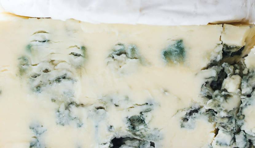 Blauschimmelkaese