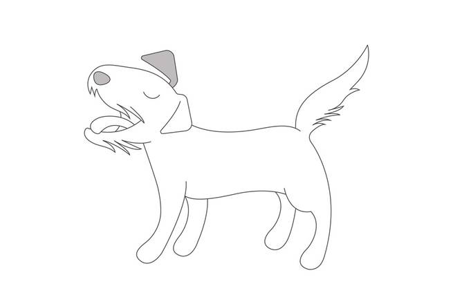 Gestresster Hund