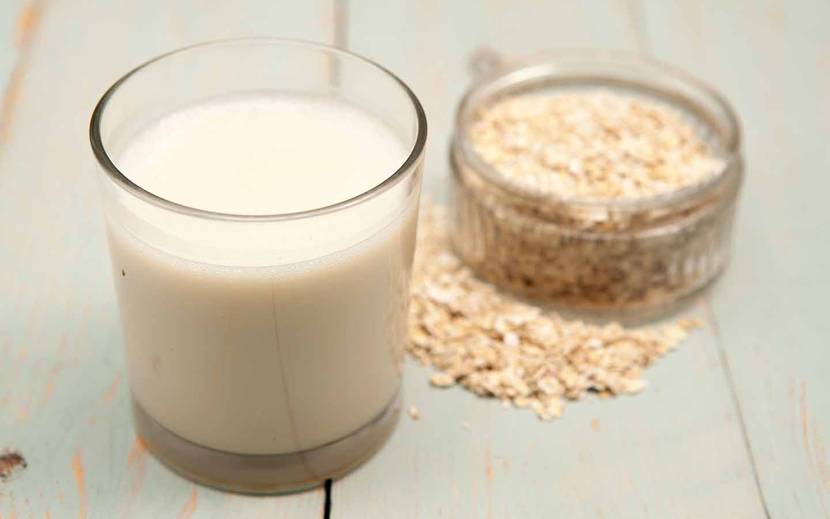 Sind Katzenmilch, Hafermilch und Co. gut für Hunde?