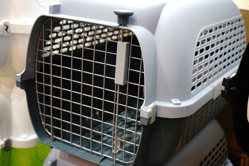 grosse hunde transportbox flug