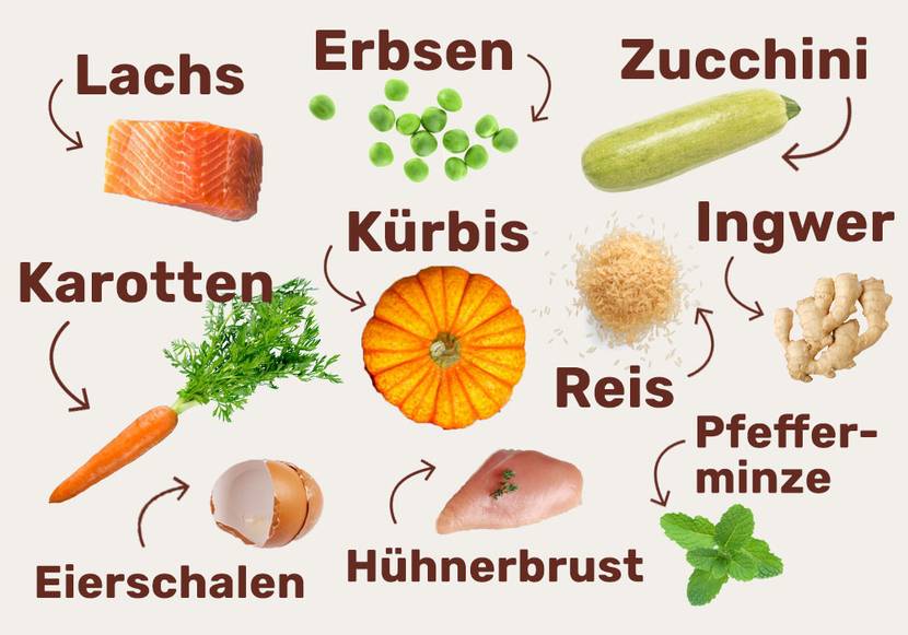 gesunde zutaten