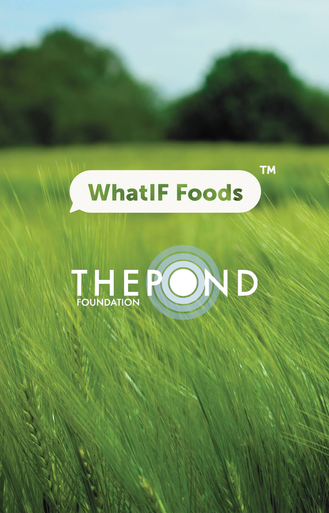 A world first carbon - Thumbnail.jpg