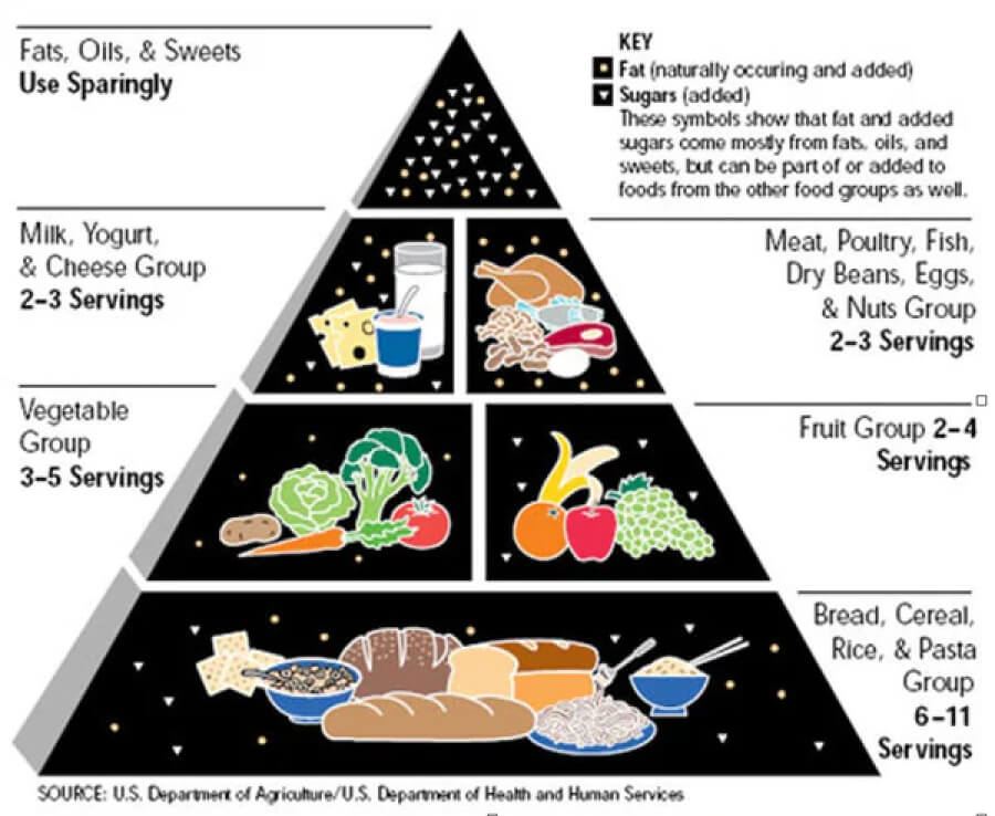 The_Food_Pyramid_600x600 1.jpg