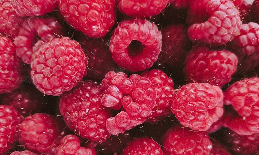 So gesund sind Himbeeren für Hunde wirklich: