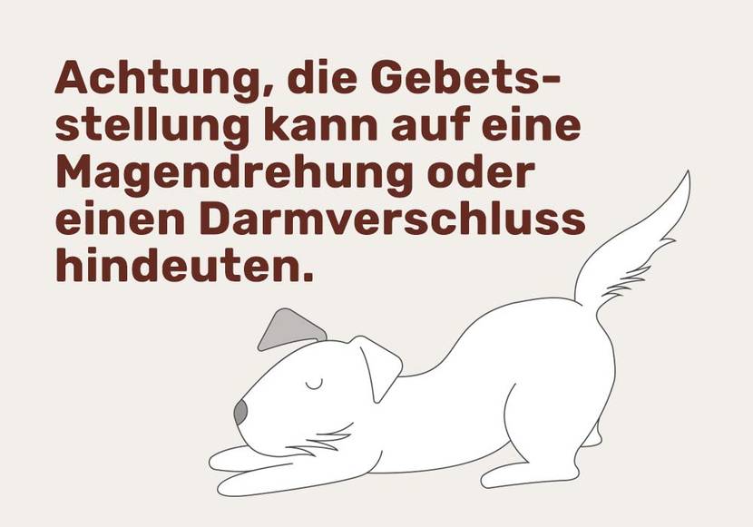 gebetshaltung
