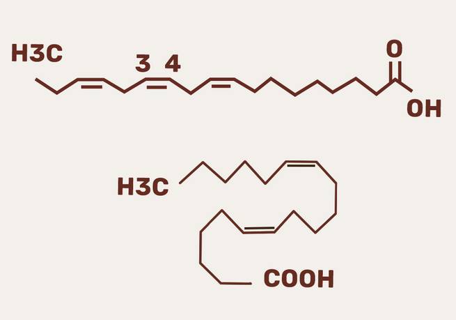 Omega-3 und 6 Öl als Bestandteil von Lachsöl