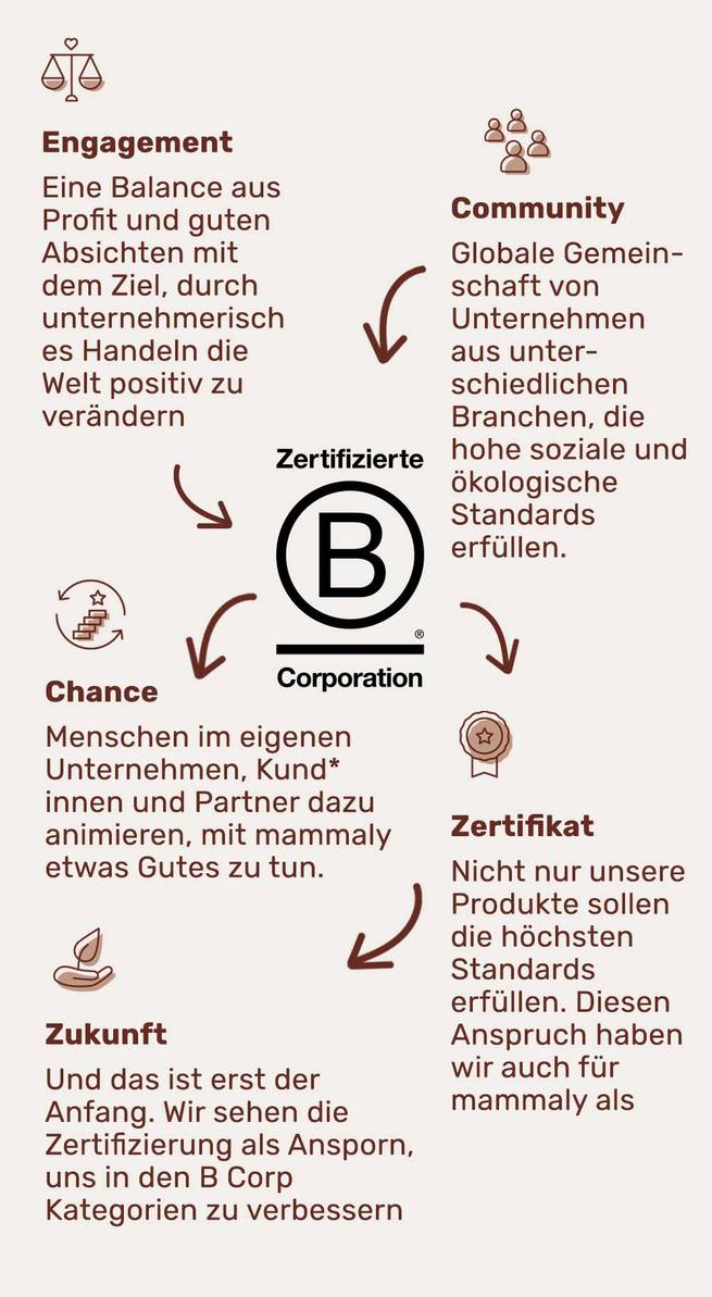 Infografik zur B-Corp Zertifizierung