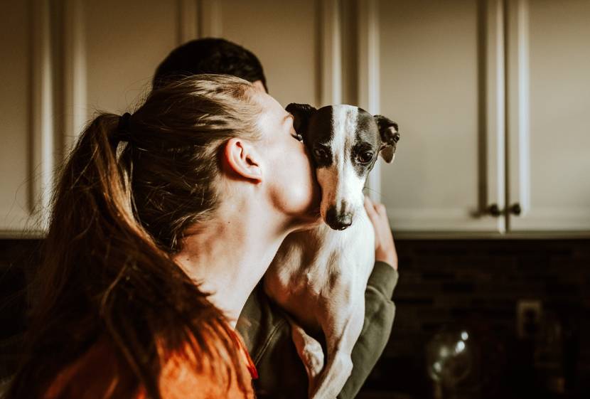 Hundebesitzer küsst seinen Hund zu Hause