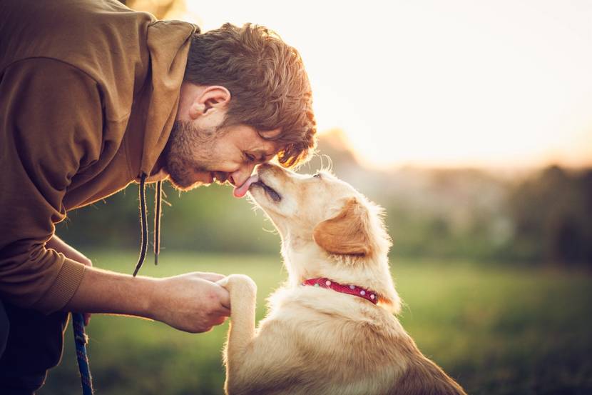 Hund leckt liebevoll das Gesicht seines Besitzers