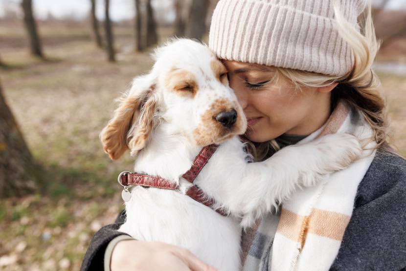 Hund kuschelt sich an Frau