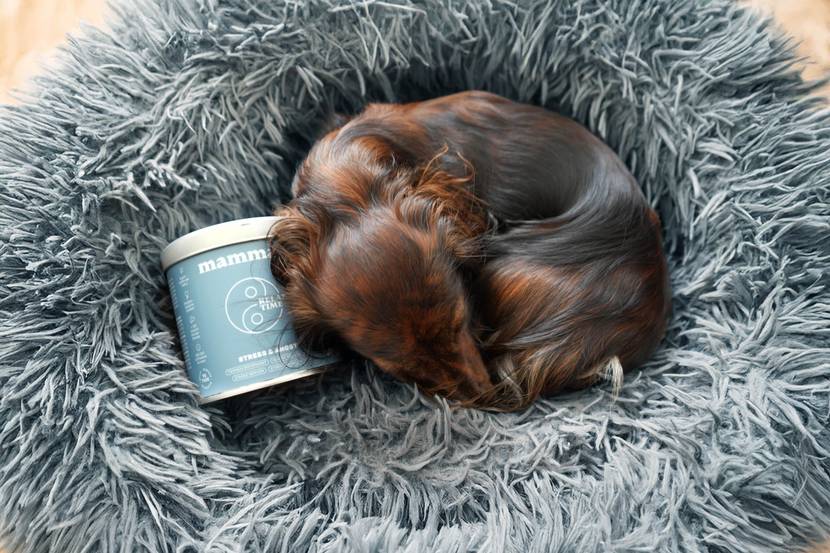 Natürliche Unterstützung mit Relax Time