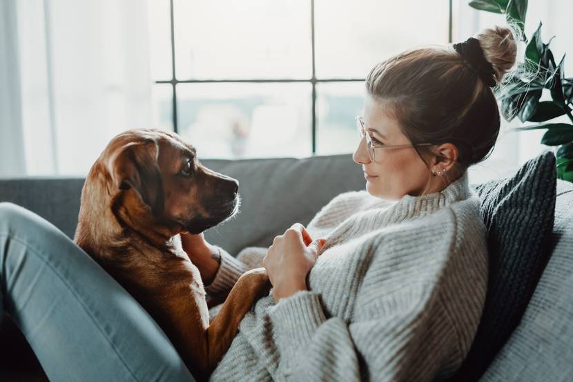 Hund und Frau sitzen auf der Couch und schauen einander an