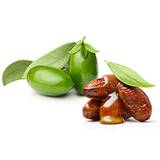 Jojoba Seed Oil