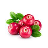 Cranberry Seed Oil