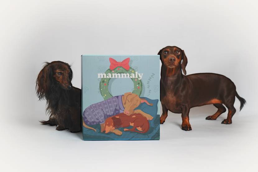 Hunde mit mammaly Adventskalender