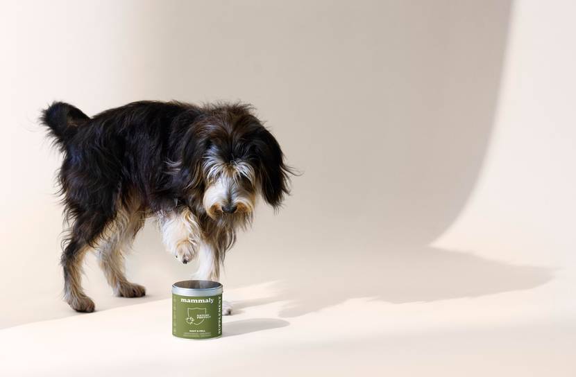 Nature Protect mit Hund