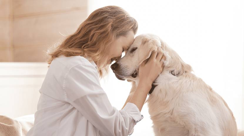 Kuscheln mit Hund
