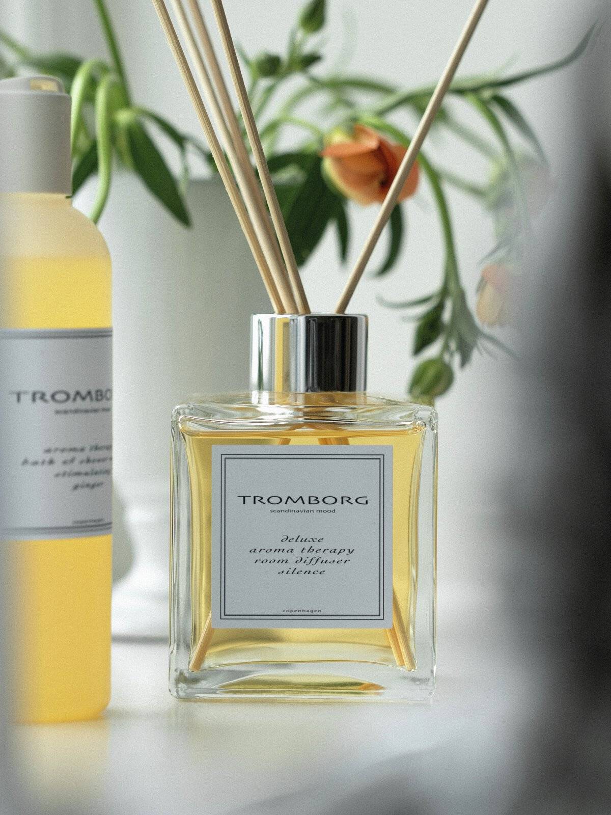 Tromborg Product image