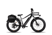 RadRover Plus Daily Commuter Kit, which includes a rear rack, pannier, and front mount basket 