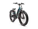 Angled side view of the steelhead green RadRover 6 Plus Step-Thru electric fat tire bike