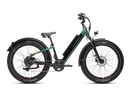 Side view of the steelhead green RadRover 6 Plus Step-Thru electric fat tire bike