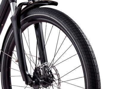 Radcity plus electric bike tires image