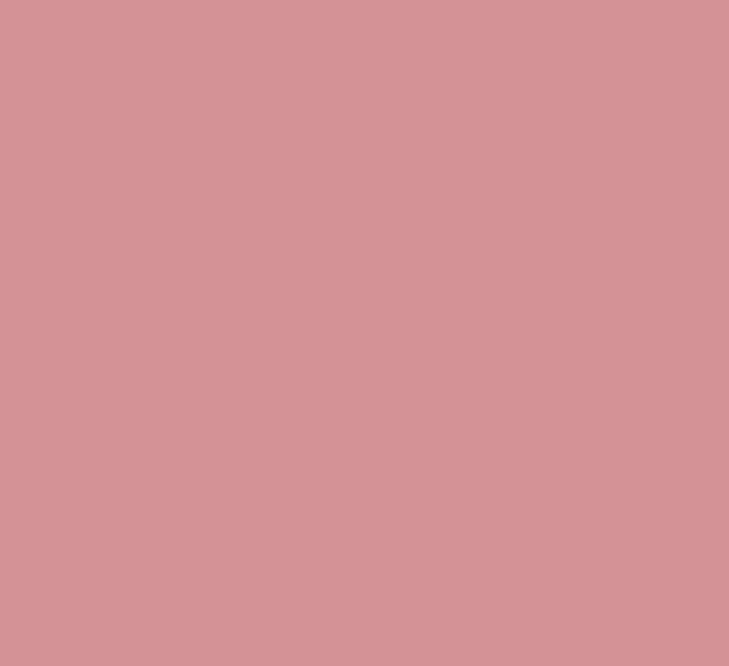 Translucent Pink Color Paint Core French Pink Acrylic Nail Powder, Bright Translucent Pink, 660g ...