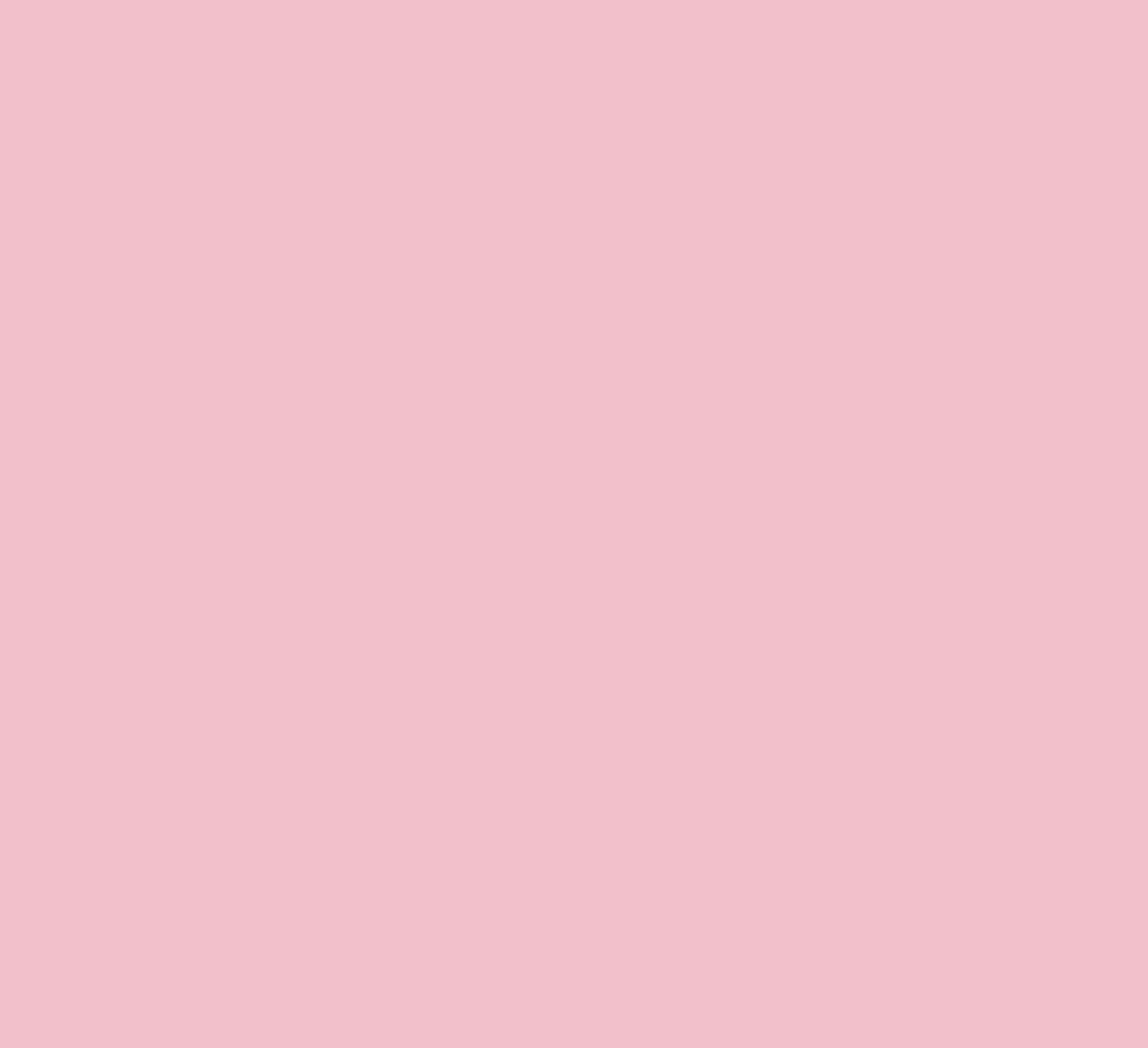 Translucent Pink Color Paint Core French Pink Acrylic Nail Powder, Bright Translucent Pink, 660g ...