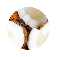 COCONUT 