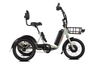 RadTrike Essentials package which includes a lock, front-mounted basket and phone mount