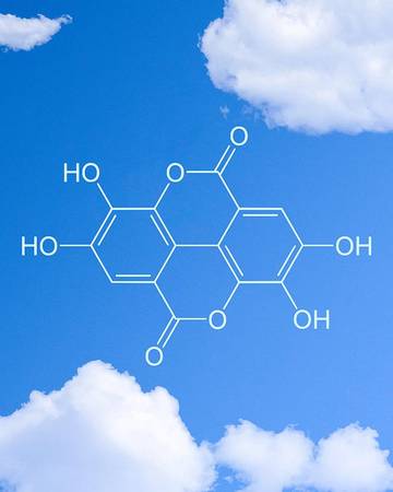 molecular model of polyphenol with a blue sky background