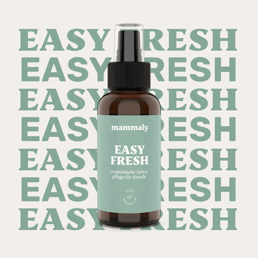 Easy Fresh