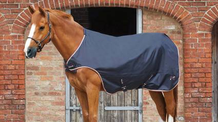 horse walker rug navy 