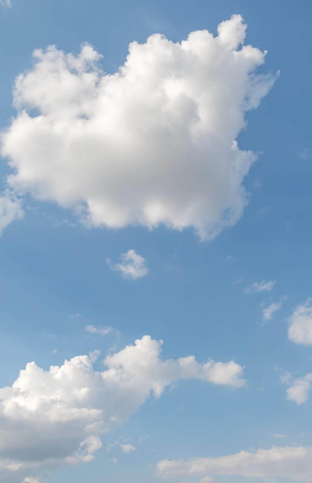 Springer Pets Dog Water Bottles + Accessories As Seen on Shark Tank