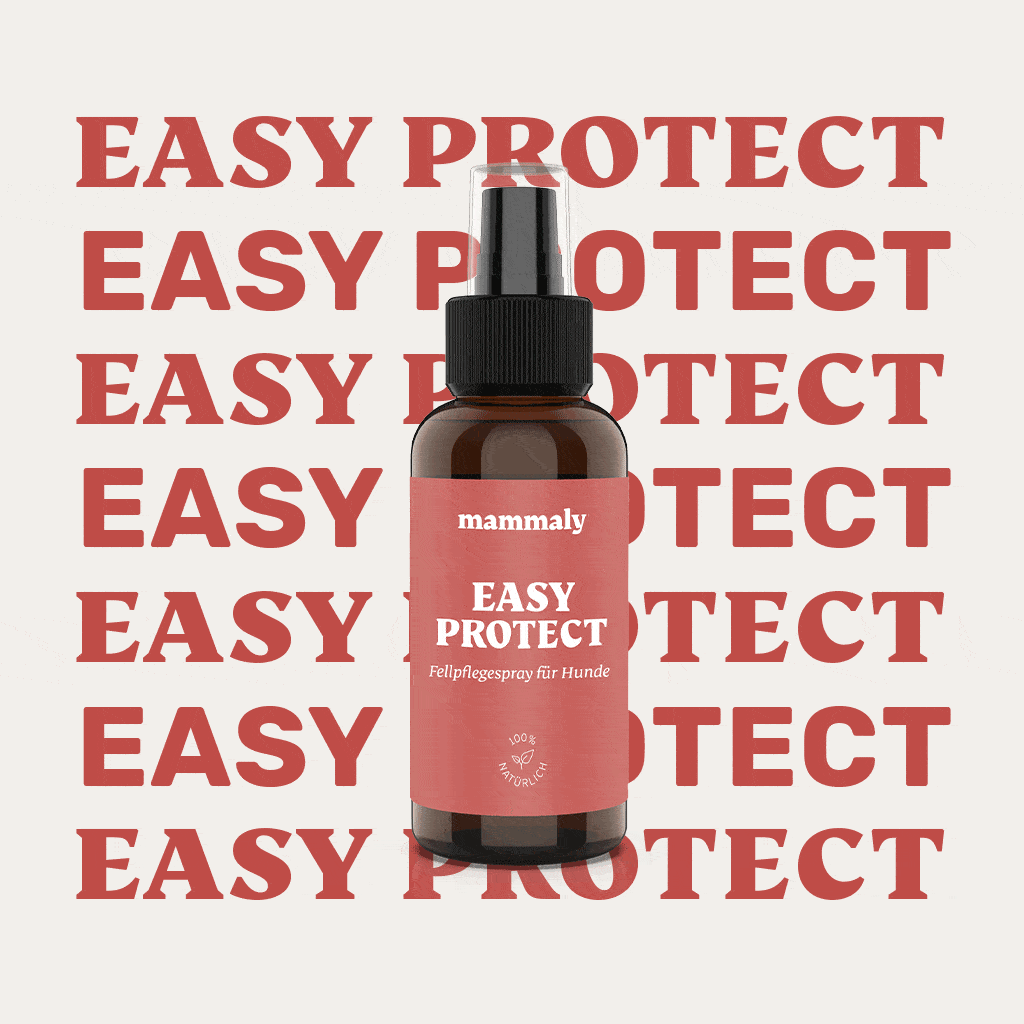 Easy Protect