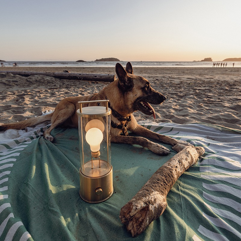 The Muse Portable Lamp in Solid Brass | Special Edition | Table