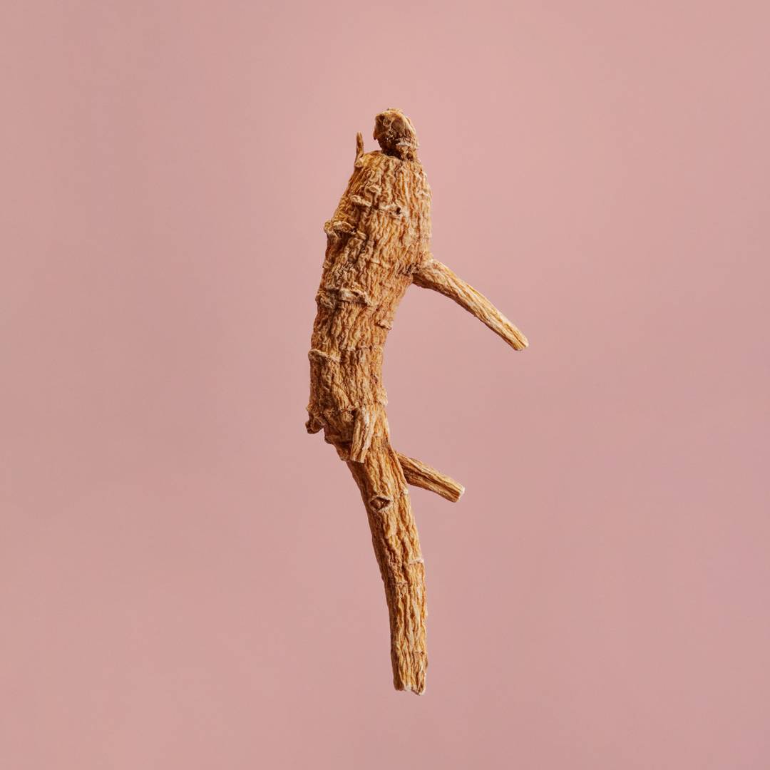 American Ginseng