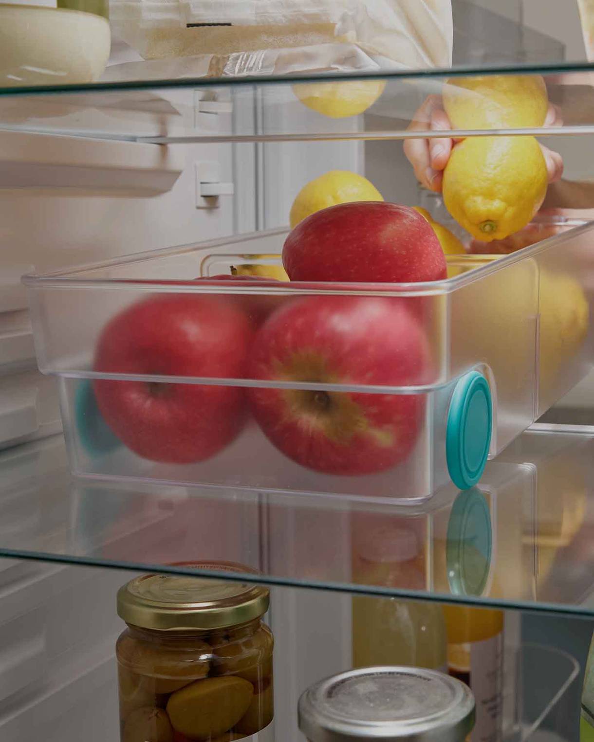 Large Fridge Storage Bin Joseph Joseph