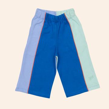 Heavyweight Bolinas Pants