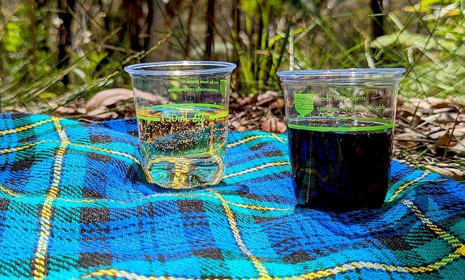 8oz (250ml) PLA Bella Wine U Tumbler - 76 Series (with 150ml W&M pour line)