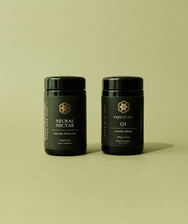 Brain Gains Bundle