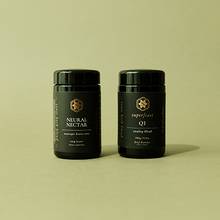 Brain Gains Bundle