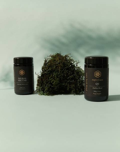 Brain Gains Bundle