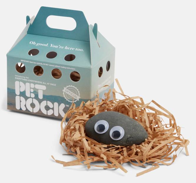 Everything Everywhere Pet Rock™ – A24 Shop